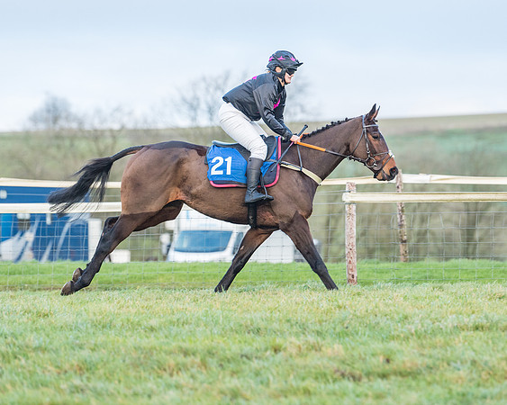 Race 8 - PPORA conditions for Novice Riders (58 of 378)