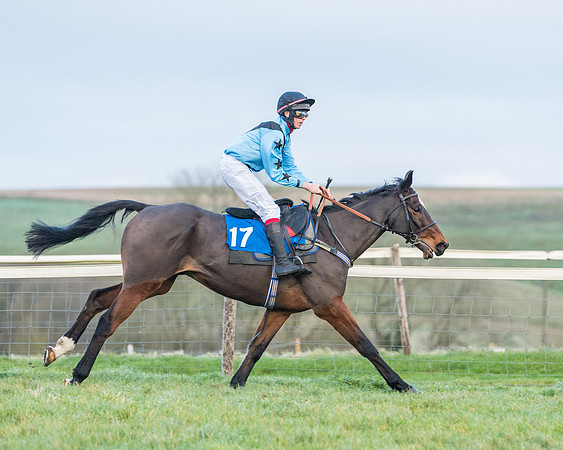 Race 8 - PPORA conditions for Novice Riders (56 of 378)