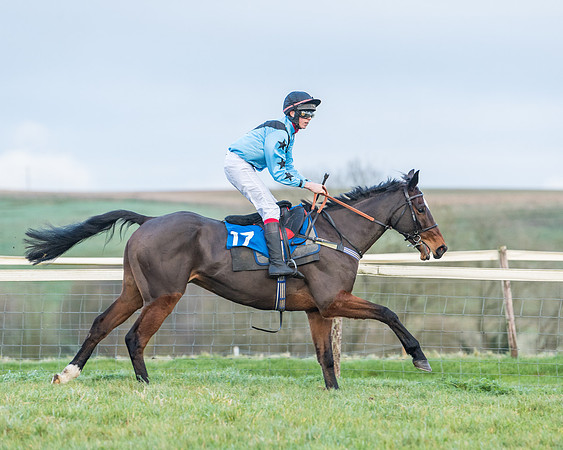 Race 8 - PPORA conditions for Novice Riders (55 of 378)