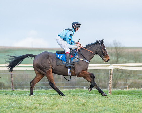 Race 8 - PPORA conditions for Novice Riders (54 of 378)