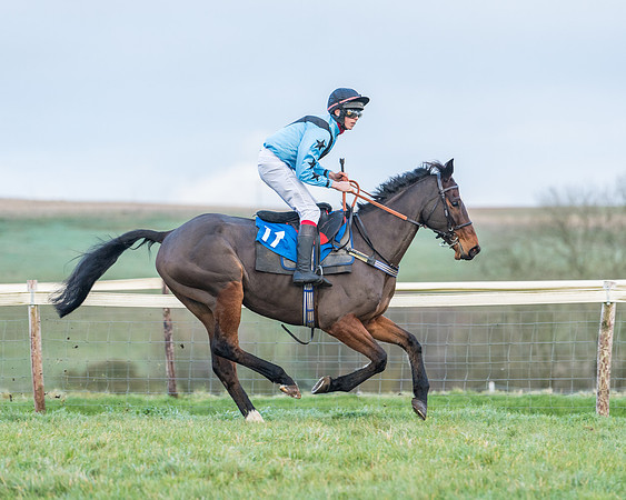 Race 8 - PPORA conditions for Novice Riders (53 of 378)
