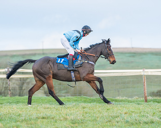 Race 8 - PPORA conditions for Novice Riders (52 of 378)