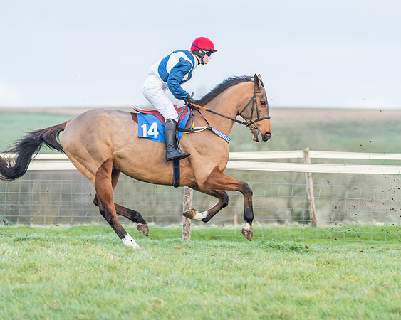Race 8 - PPORA conditions for Novice Riders (48 of 378)