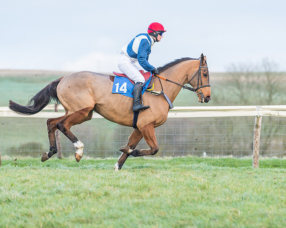 Race 8 - PPORA conditions for Novice Riders (46 of 378)