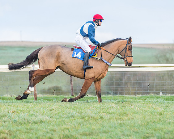 Race 8 - PPORA conditions for Novice Riders (45 of 378)
