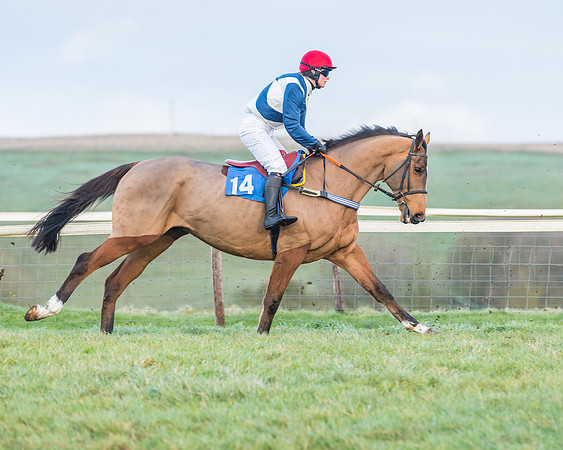 Race 8 - PPORA conditions for Novice Riders (44 of 378)