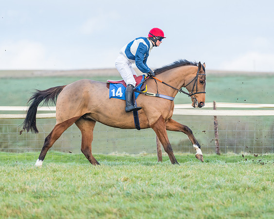 Race 8 - PPORA conditions for Novice Riders (43 of 378)
