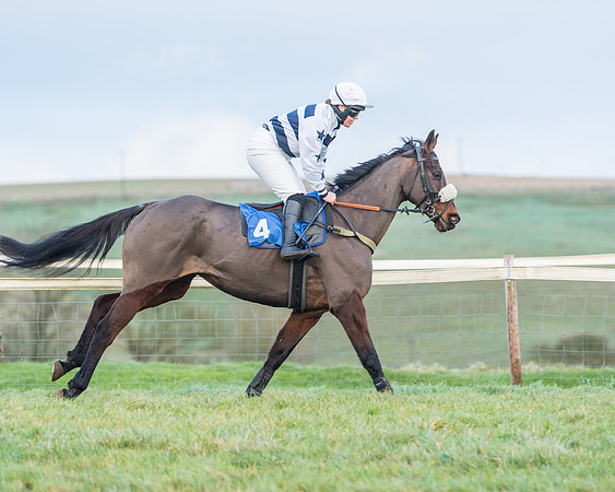 Race 8 - PPORA conditions for Novice Riders (40 of 378)