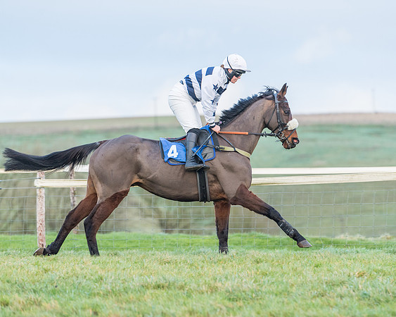 Race 8 - PPORA conditions for Novice Riders (39 of 378)