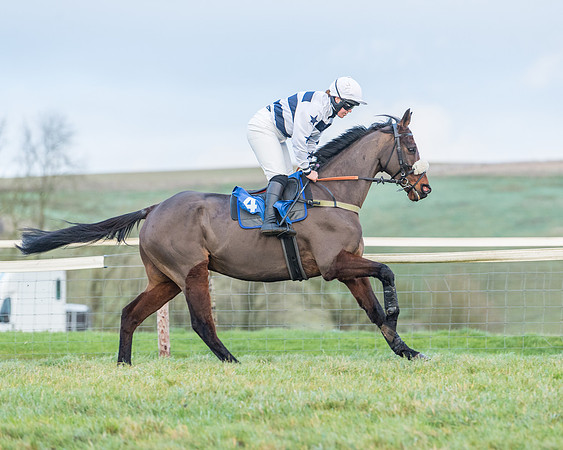 Race 8 - PPORA conditions for Novice Riders (38 of 378)