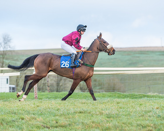 Race 8 - PPORA conditions for Novice Riders (35 of 378)