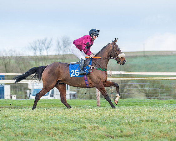 Race 8 - PPORA conditions for Novice Riders (33 of 378)