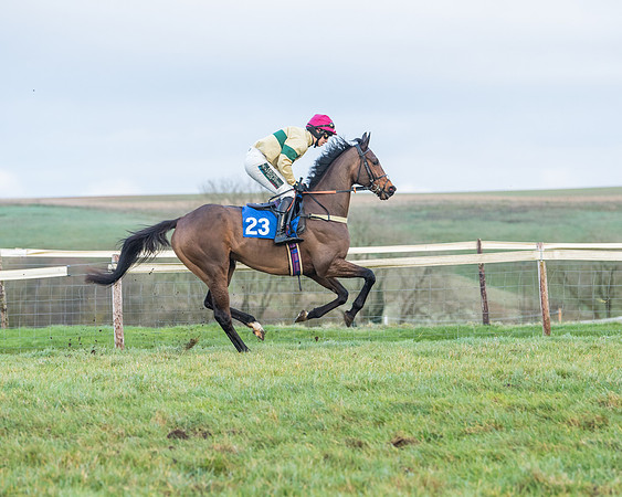 Race 8 - PPORA conditions for Novice Riders (32 of 378)