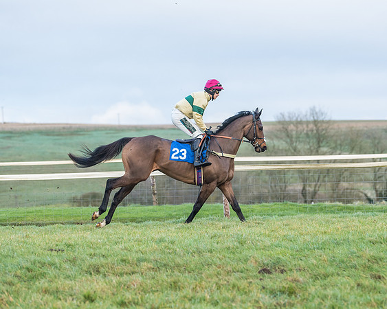 Race 8 - PPORA conditions for Novice Riders (29 of 378)