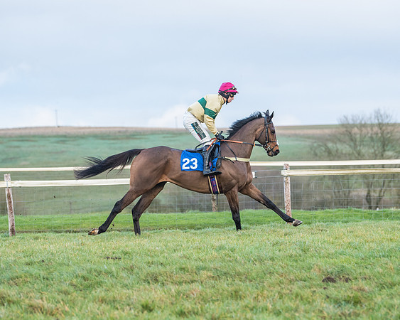 Race 8 - PPORA conditions for Novice Riders (28 of 378)