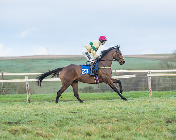 Race 8 - PPORA conditions for Novice Riders (27 of 378)