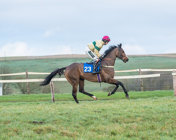 Race 8 - PPORA conditions for Novice Riders (26 of 378)