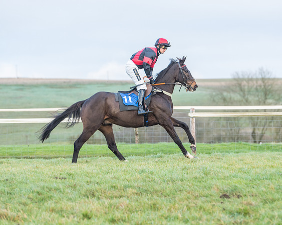 Race 8 - PPORA conditions for Novice Riders (23 of 378)