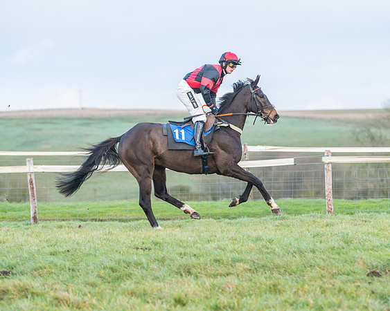 Race 8 - PPORA conditions for Novice Riders (22 of 378)