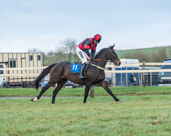 Race 8 - PPORA conditions for Novice Riders (20 of 378)