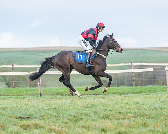 Race 8 - PPORA conditions for Novice Riders (21 of 378)