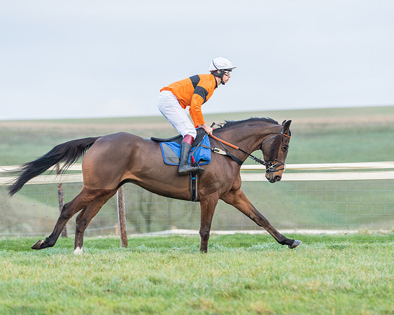 Race 8 - PPORA conditions for Novice Riders (15 of 378)