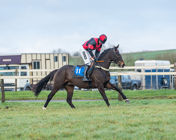 Race 8 - PPORA conditions for Novice Riders (19 of 378)