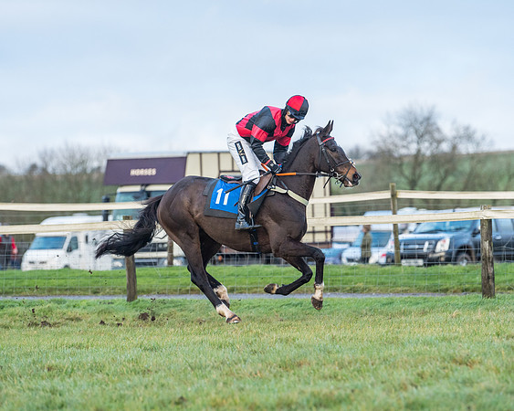 Race 8 - PPORA conditions for Novice Riders (17 of 378)