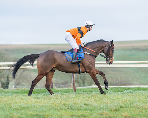 Race 8 - PPORA conditions for Novice Riders (14 of 378)