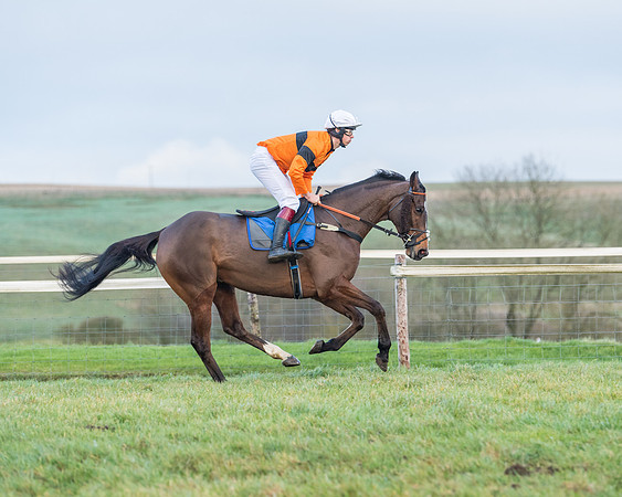 Race 8 - PPORA conditions for Novice Riders (12 of 378)