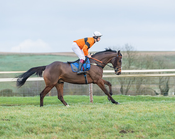 Race 8 - PPORA conditions for Novice Riders (13 of 378)