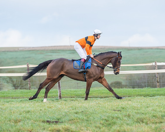 Race 8 - PPORA conditions for Novice Riders (9 of 378)