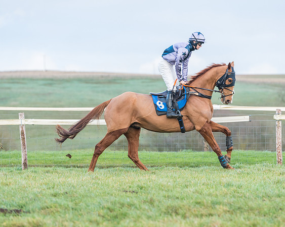 Race 8 - PPORA conditions for Novice Riders (8 of 378)