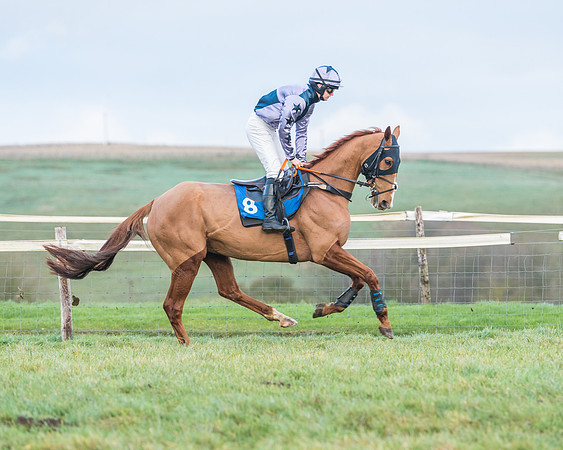 Race 8 - PPORA conditions for Novice Riders (7 of 378)
