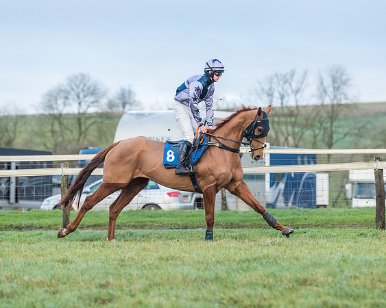 Race 8 - PPORA conditions for Novice Riders (1 of 378)