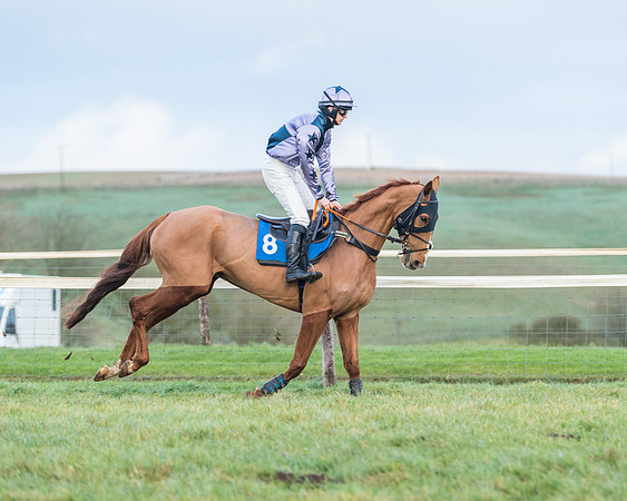 Race 8 - PPORA conditions for Novice Riders (4 of 378)