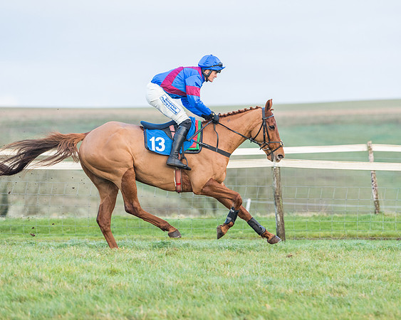 Race 8 - PPORA conditions for Novice Riders (112 of 378)