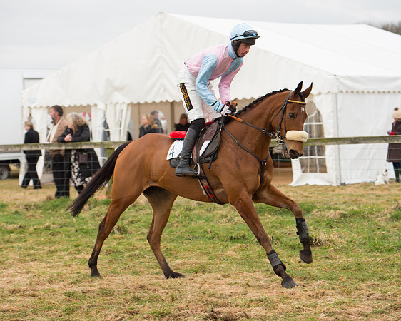 Race 6 - Open Maiden (41 of 100).jpg