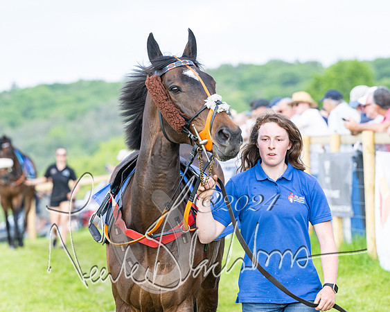 Race 6 - Intermediate (15 of 212)