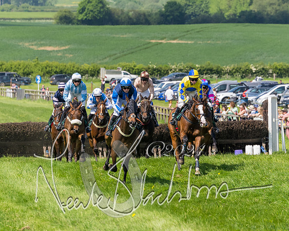 Race 2 - The Maiden  (215 of 442)