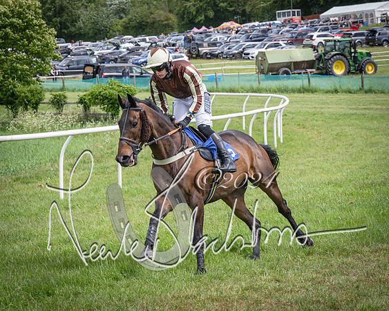 Race 1 - The owner-trainer Conditions race (22 of 118)