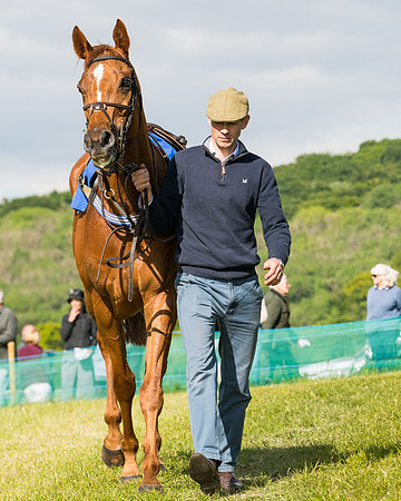 Race 5 - Restricted  (7 of 136)