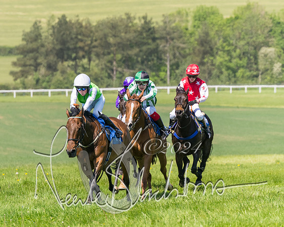 Pony Races  (66 of 141)