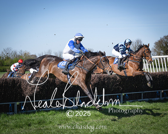 Race 6 - Veteran horse (77 of 109)