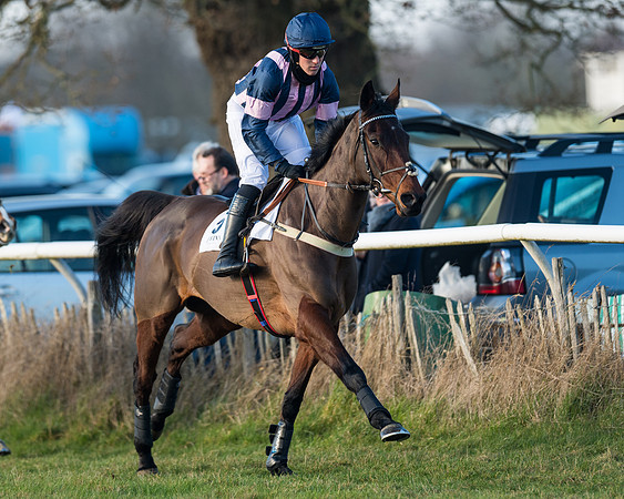 Race 2 - PPORA Novice Riders  (28 of 205)