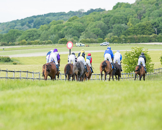 Race 6 - Open Maiden (112 of 227)