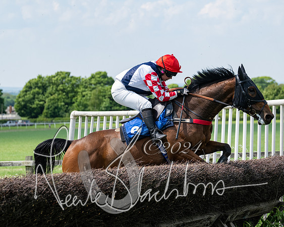 RAce 1 - Conditionsn [Level 2] (157 of 219)