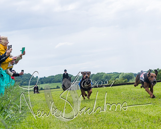 Race 7 - Hound Race etc (91 of 108)