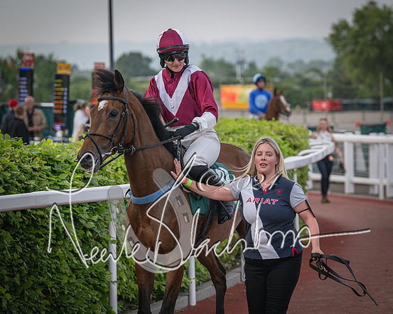 Race 5 - Mares Open Hunter Steeplechase 3m2f 70y (43 of 269)
