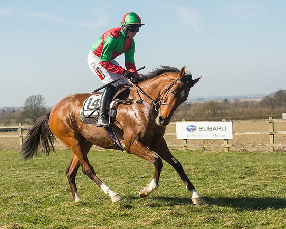 Race 1 Div 1 - 2M4F Maiden (32 of 117).jpg